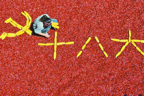 十八大的召开引发各界关注